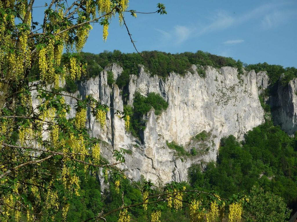 Fewo Larissa Beuron Quarto foto